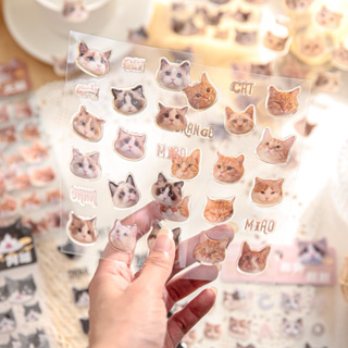 Lulumis*~貓貓貼紙🐱 可愛貓貓貼紙 手帳貼紙 貓奴 貓咪 貼紙