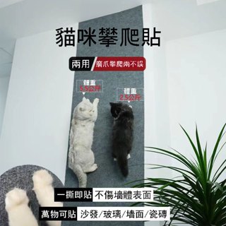 🔥【臺灣出貨】牆壁貓抓板 貓抓墊 貓抓墊壁貼 貓爬貼 寵物止滑墊 墻壁貓爬架 貼牆貓抓板 貓咪磨爪 傢俱保護墊 貓爬墊子
