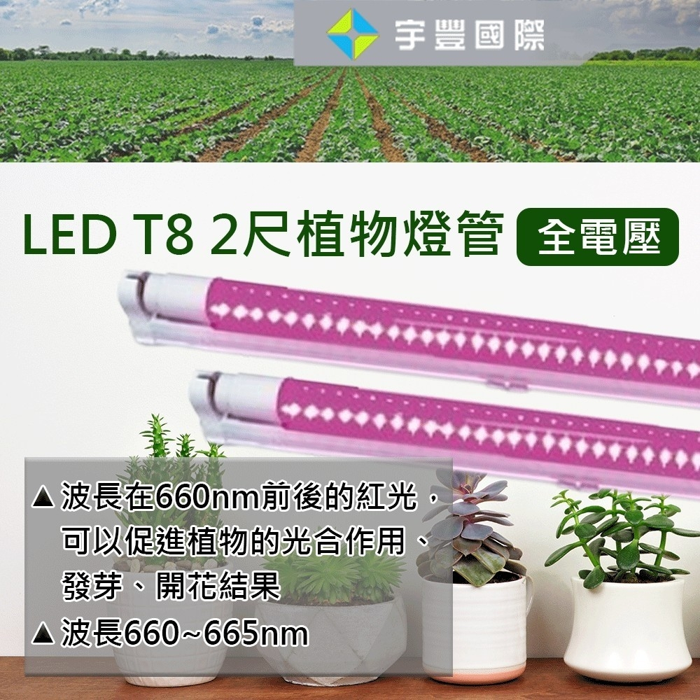 【宇豐國際】台灣品牌 LED T8 2尺10W/4尺20W 植物燈管 植物專用 植物生長燈 全電壓 非一般照明 保固一年