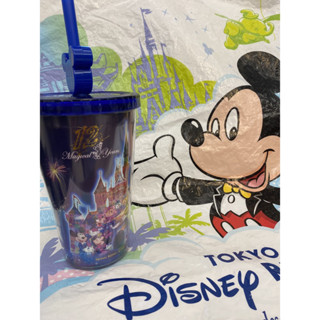✽DDJP小舖✽ 香港迪士尼 Disney 12週年紀念水杯 吸管杯 外出飲料杯 隨行杯 迪士尼限定吸管杯 限量版 現貨