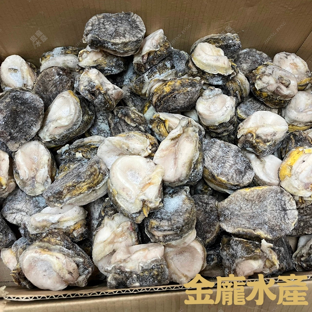 智利鮑魚8/10(冷凍南美貝)【金龐水產海鮮批發】G031  餐廳 團爸 團媽