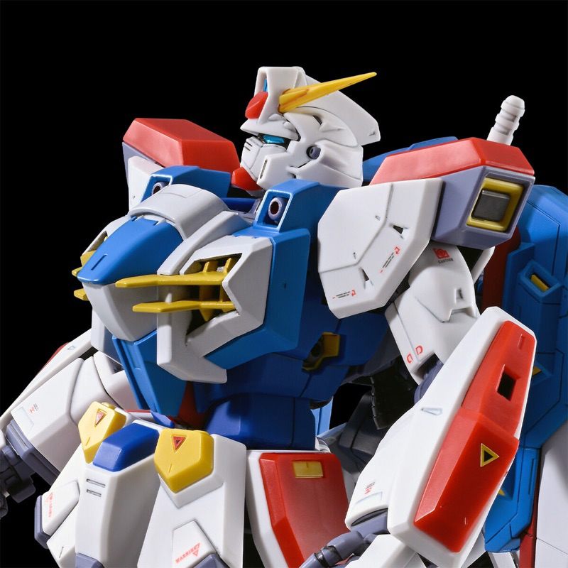 AG [預購終了] MG 1/100 鋼彈 GUNDAM F90 N-TYPE