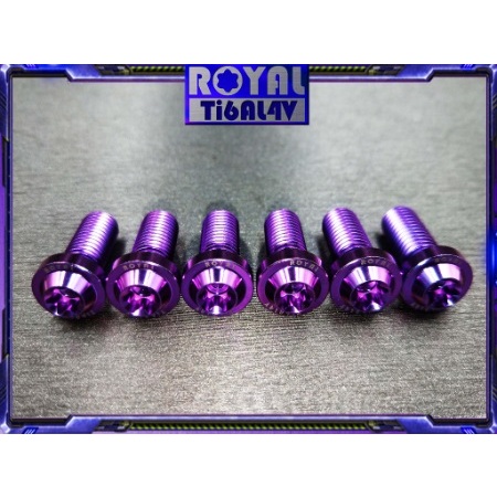 🌟ROYAL 鈦合金螺絲 M10*25F 牙距 P1.25 P1.5 64正鈦螺絲 M10X25🌟