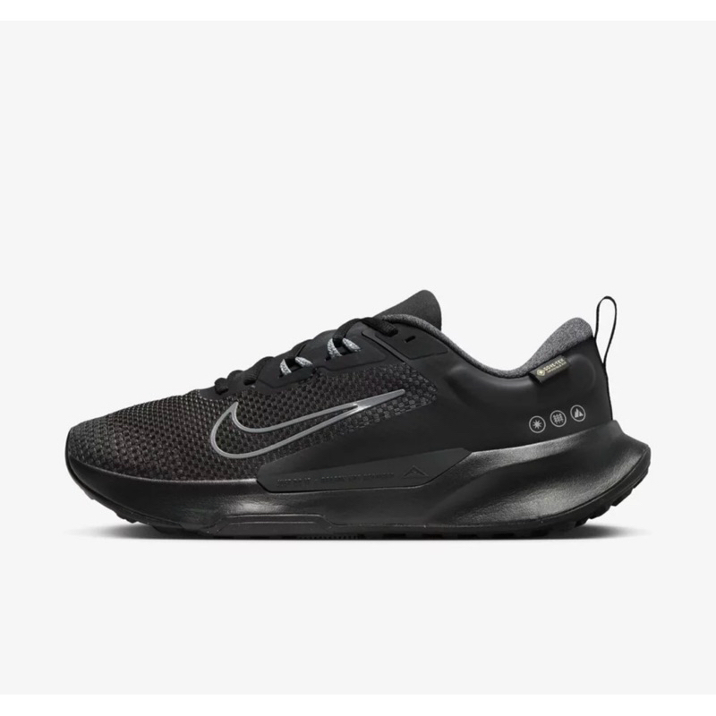 特價 Nike 尺寸10號 Juniper Trail 2 GTX 男 慢跑鞋 防水 黑灰 FB2067-001 鞋子