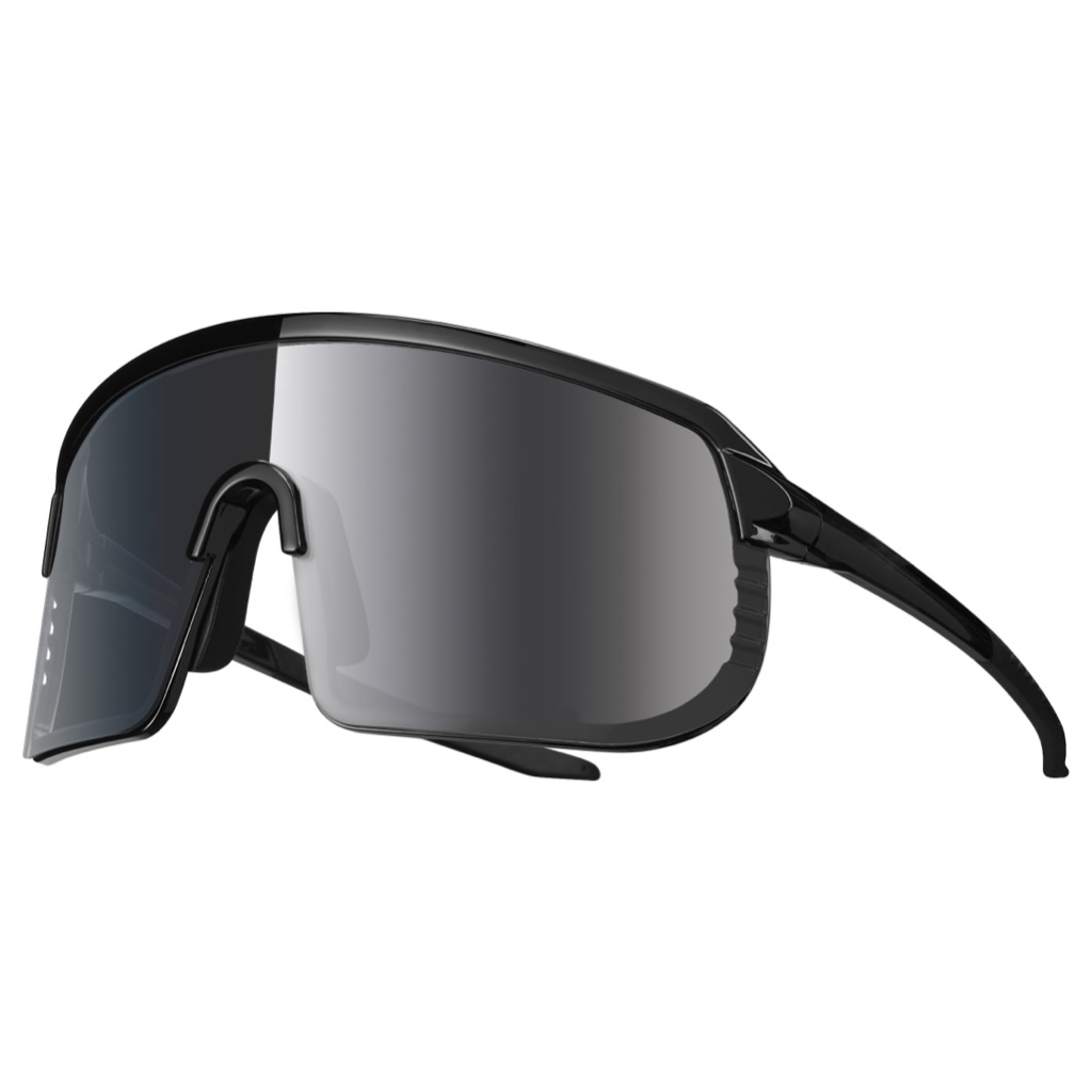 LIV 102AP 包覆型鍍膜變色太陽眼鏡 風鏡 全天候太陽眼鏡 自行車變色眼鏡 附贈可拆卸近視框
