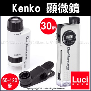 日本 Kenko 顯微鏡 Nature 60-120倍 LED 携帶型 STV-120M 冒險 迷你 調焦 鑑定珠寶