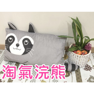 臺灣現貨 兒童枕頭 淘氣浣熊造型枕頭 小枕頭 小朋友枕頭 幼稚園枕頭 幼兒枕頭 幼稚園午睡枕頭 動物造型枕 (含枕芯)