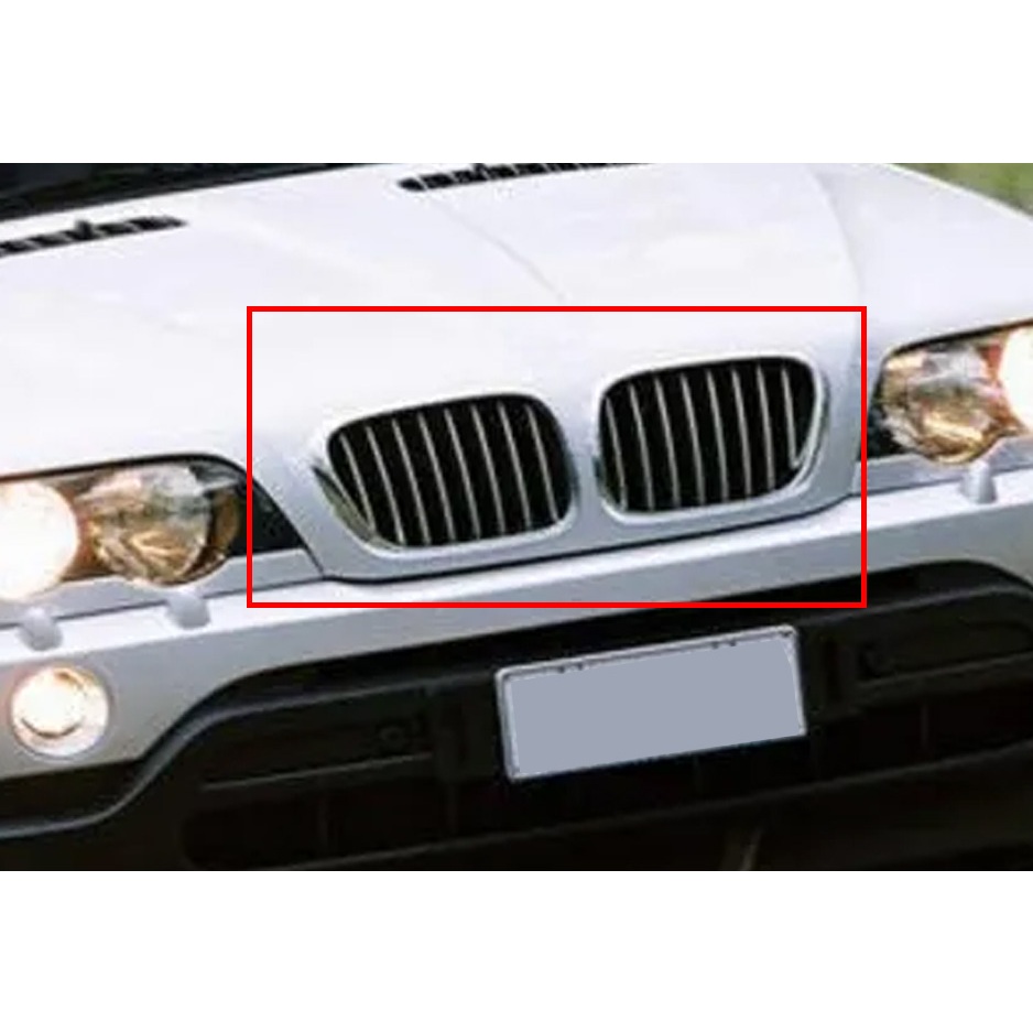 &lt;台灣之光&gt;全新 BMW X5 E53 99 00 01 02 03年前期專用電鍍框 鈦銀 水箱罩 鼻頭 水柵