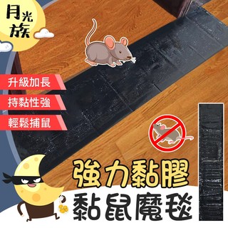 [捕鼠神器] 捕鼠魔毯 抓老鼠神器 黏鼠魔毯 強力黏鼠板 黏鼠膠 老鼠板 捕鼠 黏鼠 黏鼠板 捕鼠神器