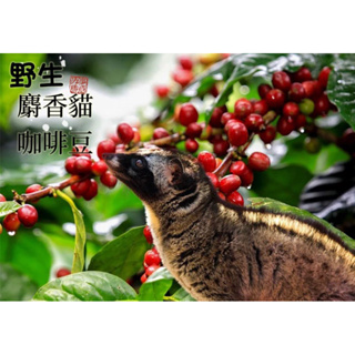 御粹印尼野生麝香貓咖啡豆（中度烘培）