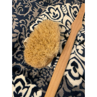 🔥出清🔥 braun wettburg可拆式體刷