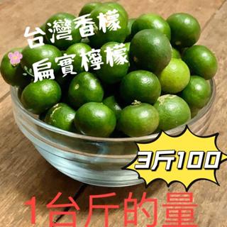大樹 台灣香檬 扁實檸檬 非傳統檸檬