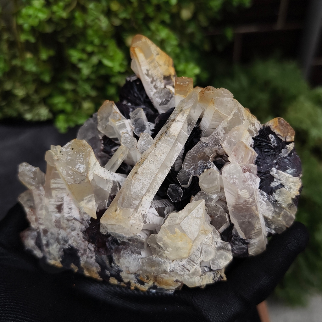 {石場}ze12約重1000g-鏡鐵礦水晶共生 鐵玫瑰 金龍 赤鐵礦 Hematite 晶簇原礦
