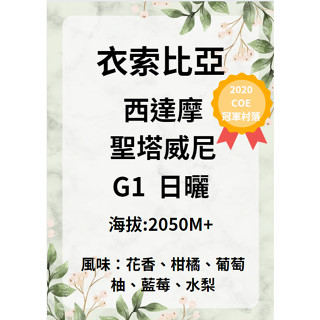 【環群咖啡生豆】K01 衣索比亞 西達摩 聖塔威尼 G1 日曬 咖啡生豆 咖啡 生豆 咖啡濾紙 濾掛式咖啡 咖啡壺