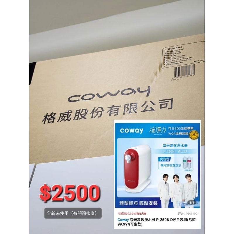Coway 奈米高效淨水器 P-250N DIY自裝組(除菌99.99%可生飲)