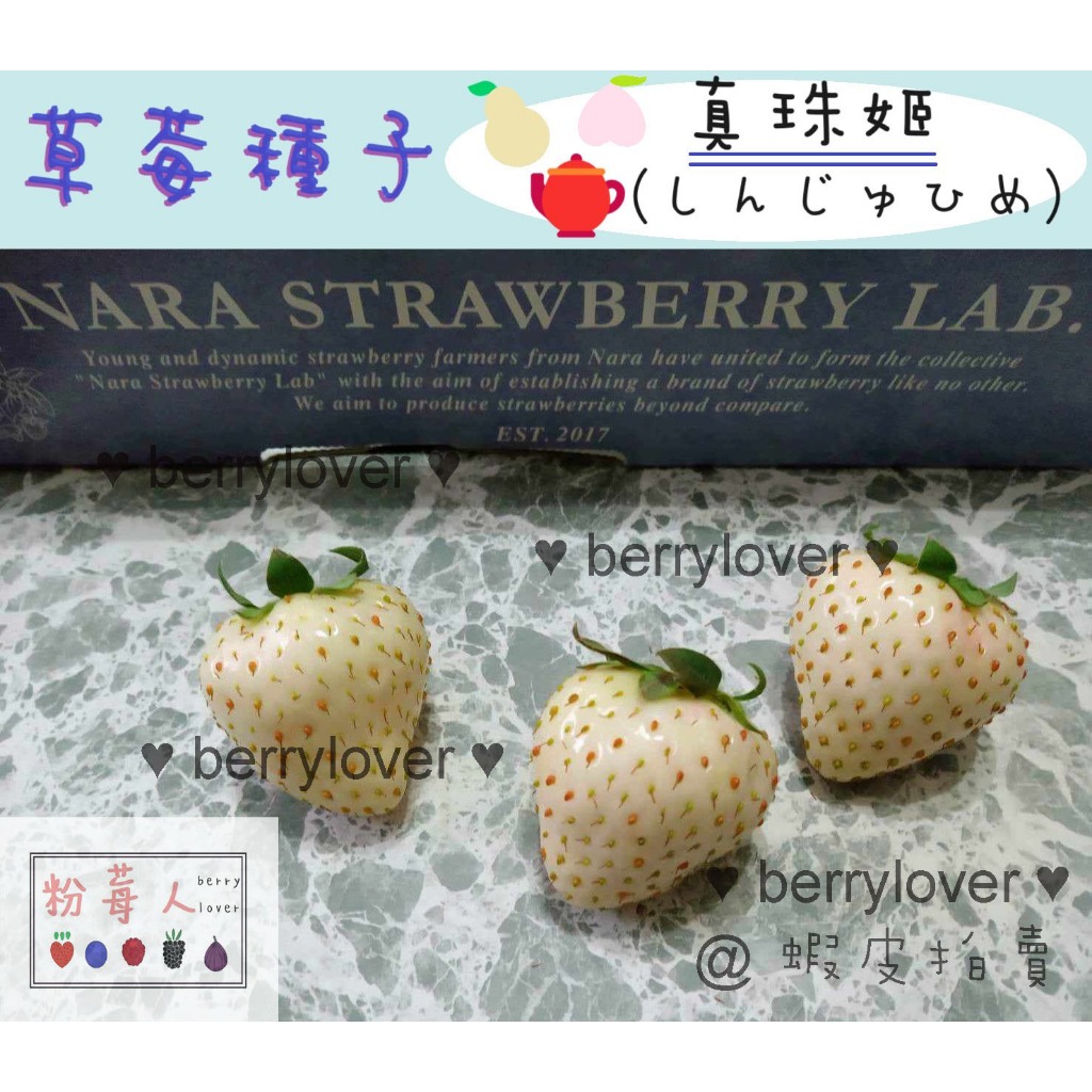 ❤️粉莓人🖤日本草莓 草莓種子 白草莓 真珠姬