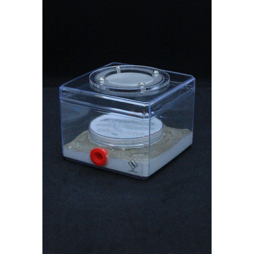 密閉石膏巢(平面一體式) 中/小型蟻、針蟻適用 養螞蟻 飼養螞蟻 螞蟻巢