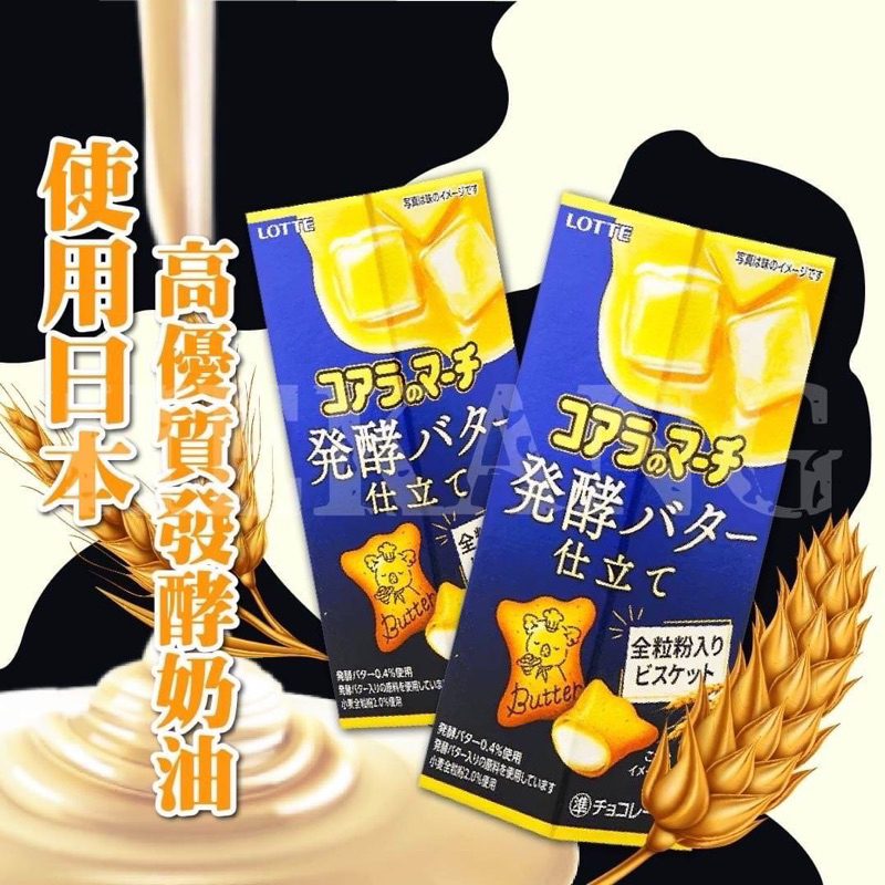 日本原裝進口 樂天小熊餅-發酵奶油風味🧈