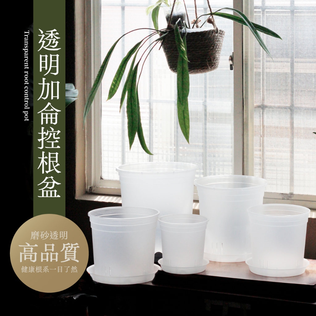 【0123.studio】現貨 透明加侖控根盆 加侖盆 磨砂透明 花盆 花器 盆栽 托盤 觀葉植物 控根盆 龜背芋 發根