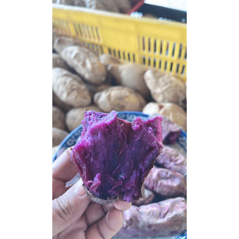 極少量✨✨✨紫玉地瓜 營養價值高⭐️超好吃 回購率高🔥🔥🔥