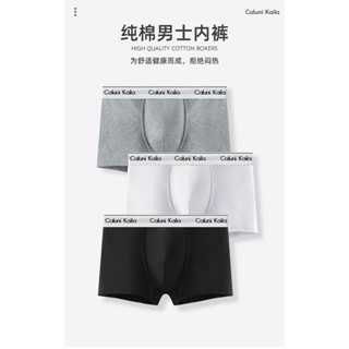 [PIGLET]C K男內褲 男生內褲 男性內褲 純棉男內褲 親膚 透氣 男生四角內褲 平角內褲 平口褲 內褲男生 內褲