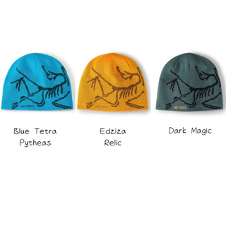 Arc'teryx BIRD HEAD TOQUE 毛帽 保暖帽 始祖鳥 Arcteryx