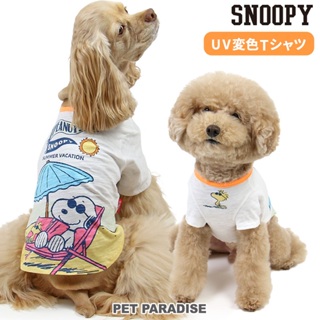 【PET PARADISE】史奴比UV變色寵物棉質上衣 (3S/SS/DS/S/SM)｜SNOOPY 2024新款 中型