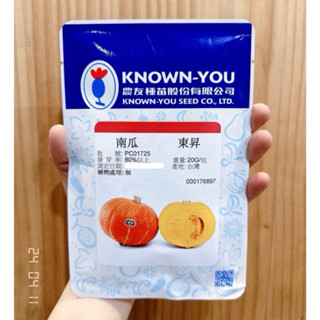 城禾農產🍃 農友東昇南瓜種子 10粒 東昇南瓜種子 南瓜種子 農友東昇南瓜 農友東昇種子 金瓜種子 南瓜種子 西洋南瓜