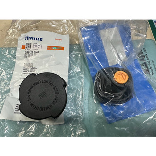 BMW備水桶蓋/水箱蓋（-E39.E38.E36.E46.E34）