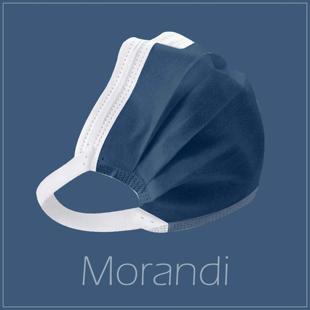 🤘台灣製 冠廷 莫蘭迪色系 群鶴藍 二段式寬耳帶 成人醫用平面口罩/10入