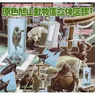 【豬寶樂園】現貨 絕版 日版 Yujin 原色旭山動物園 立體圖鑑 猩猩 北極熊 海豹 企鵝 動物 扭蛋 轉蛋 公仔