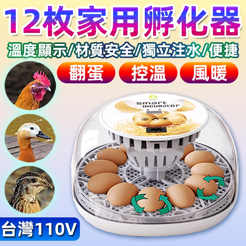 台灣110V 孵化機 小型家用孵蛋器（帶溫度控制）孵蛋機 智能雞鴨鵝鴿子孵化器 智慧控溫箱 全自動小雞雞蛋孵化機 孵蛋器