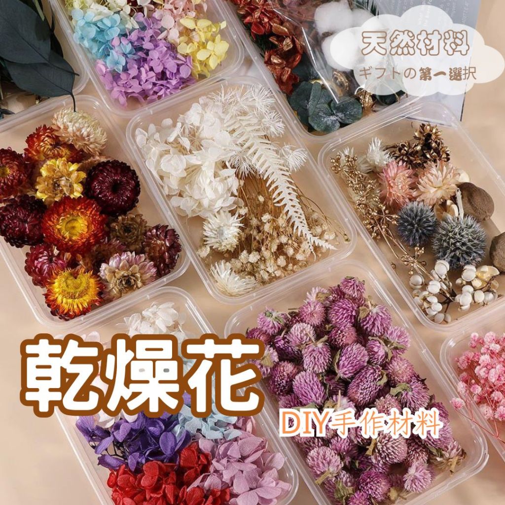 [🌹DIY🌸絕美花材🌹] 乾燥花 永生花 花 索拉花 DIY手作 花材盒 花盒 拍攝道具 佈置 送禮裝飾 裝飾 居家裝飾