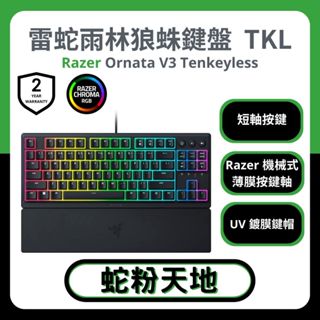 🐍蛇粉專屬天地🐍 Razer Ornata V3 TKL 雷蛇雨林狼珠TKL 薄膜短軸鍵盤 電競鍵盤 有線鍵盤 RGB