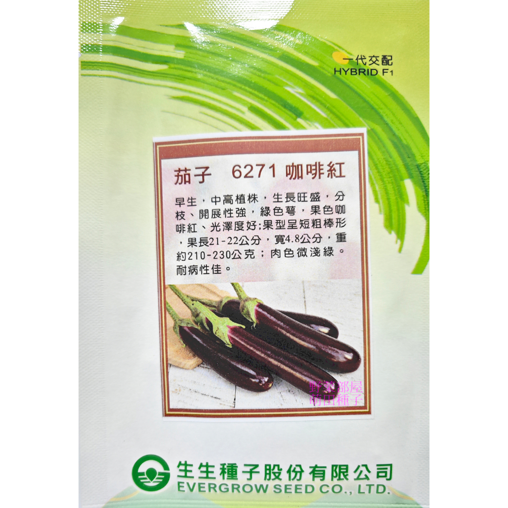 【萌田種子~】L23 咖啡紅茄子種子20粒 , 早生茄子 , 生長旺盛 , 耐病性佳 , 每包16元 ~