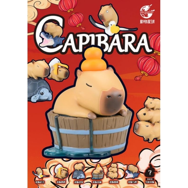 動物星球 卡皮巴拉 水豚 Capybara 盲盒 公仔 盒玩 水豚趴趴 水豚伏龜
