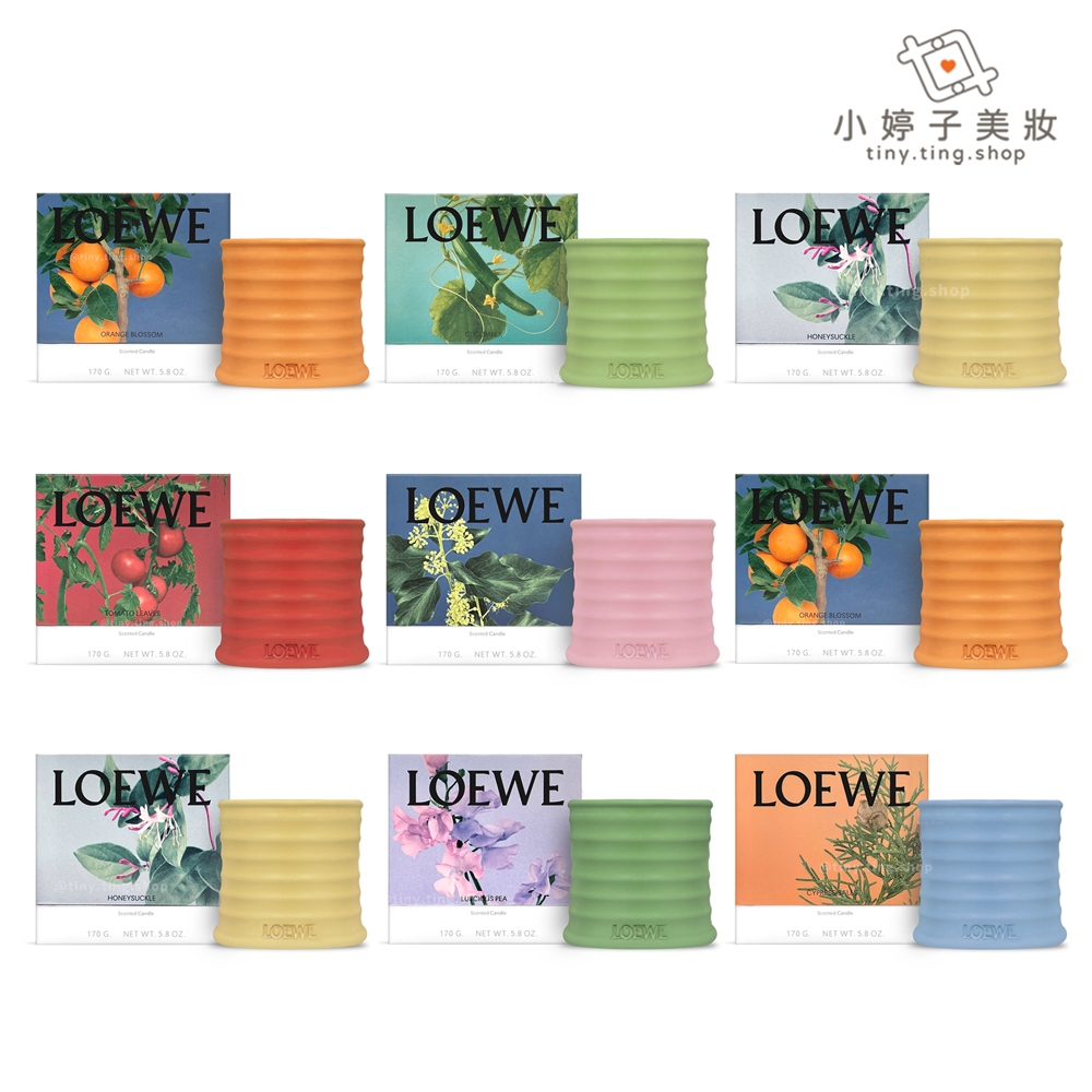 LOEWE 香氛蠟燭 170g (多款可選) 小婷子美妝