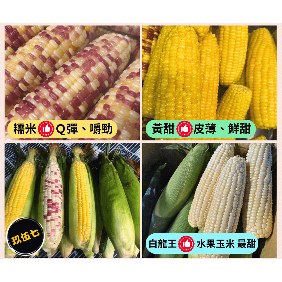 水果玉米🌽黃甜玉米🌽糯米 彩虹玉米🌽自產自銷 歡迎嚐鮮😋