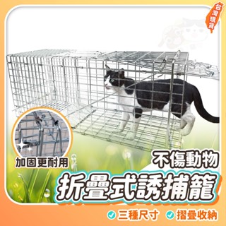 折疊式誘捕籠 貓 TNR救援 動物救援 結紮 貓咪誘捕籠 貓誘捕籠 大型誘捕籠 捕貓神器 折疊籠 捕狗籠