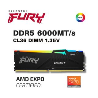 金士頓 KINGSTON DDR5 6000 獸獵者系列RGB記憶體 單支裝 2支裝 (KF560C36BBEA-16)