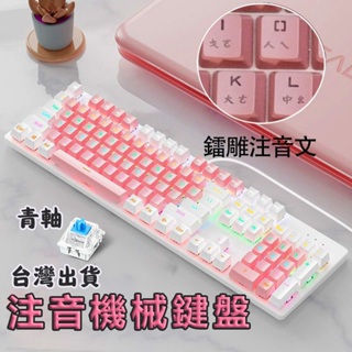 台灣出貨24H 櫻花粉機械鍵盤 注音鍵盤 電競鍵盤 機械式鍵盤 青軸混光鍵盤 青軸 RGB鍵盤 青軸鍵盤 注音有線鍵盤