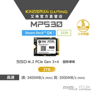 AITC艾格 KINGSMAN MP530 2TB M.2 2230 PCIe Gen3 SSD mac A1708適用