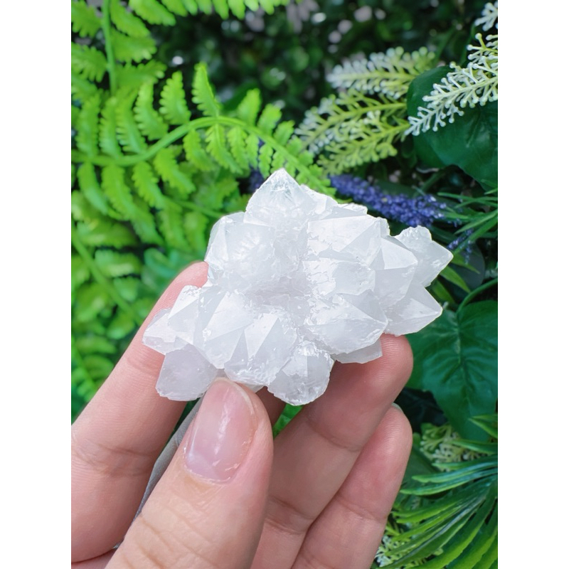 白水晶簇白水晶花天然水晶能量水晶原礦-14