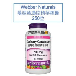 好市多代購-Webber Naturals 蔓越莓濃縮精華膠囊 250 粒 蔓越莓錠 好市多蔓越莓 膠囊 女性保養