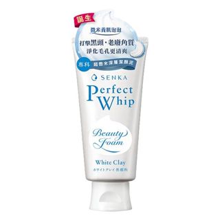 【日系報馬仔】SHISEIDO 資生堂 超微米深層潔顏泥(120g) 洗臉 保濕 潔膚 洗面乳 洗顏專科 D444922