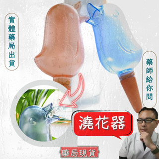 自動澆花神器 自動澆花鳥臺灣現貨 懶人澆花小鳥滴水器 澆花器 澆花小鳥 澆花神器 盆栽 灑水 種花 園藝器具 植栽 滲透