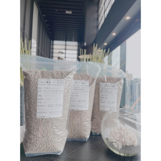 咖啡生豆1公斤 #耶加雪菲 #精品生咖啡豆 #生咖啡豆