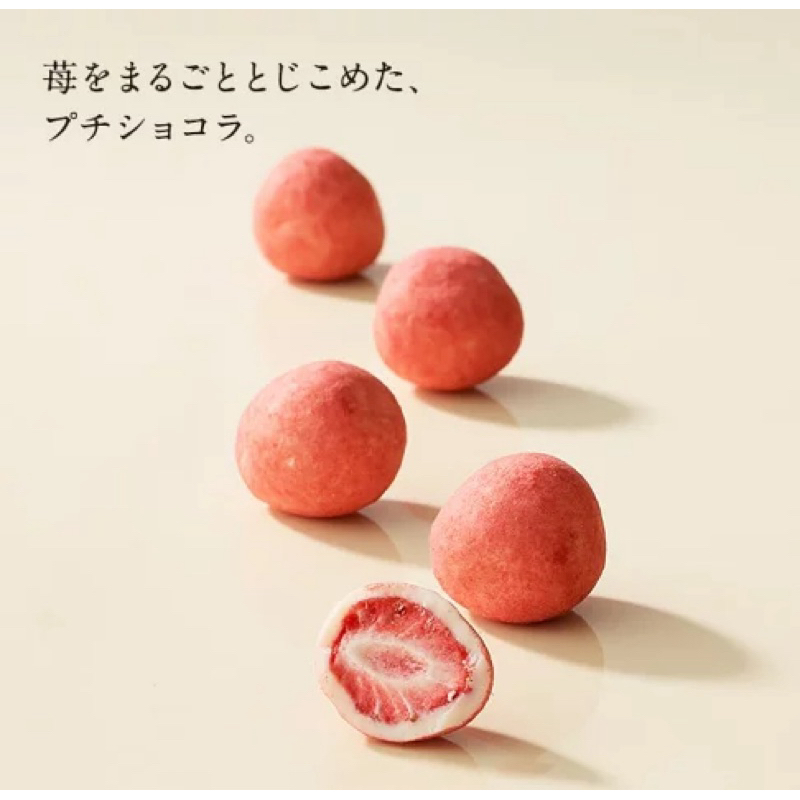 預購✈️🇯🇵日本代購  LeTAO 草莓乾巧克力+宇治抹茶杏仁巧克力