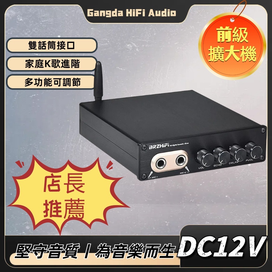 【剛達電子】BRZHIFI家庭KTV 卡拉OK唱歌前級擴大機  效果調節 雙6.5mm麥克風接口