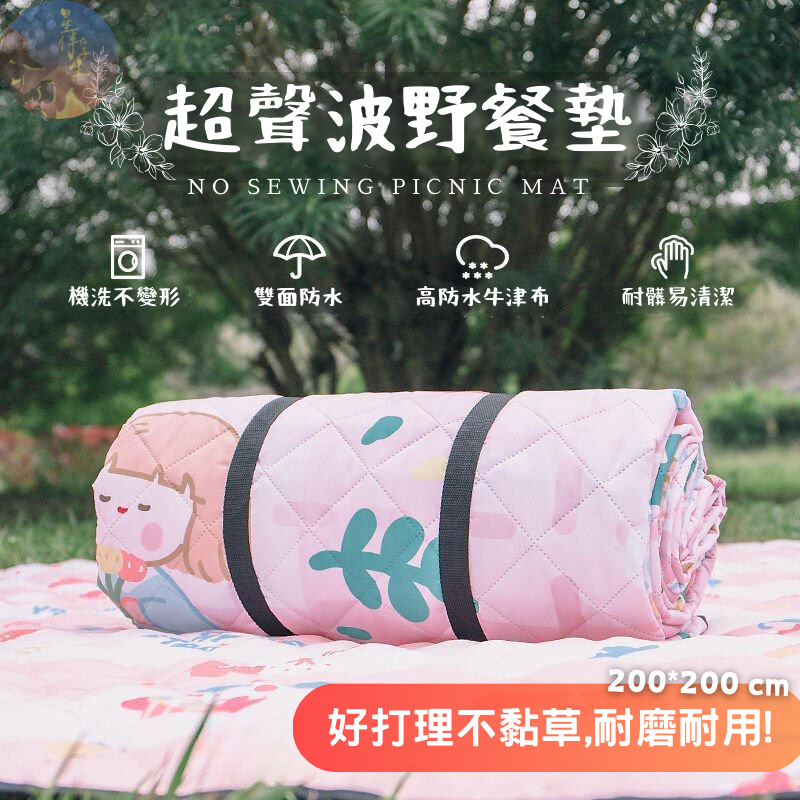 【台灣現貨免運24hr】 野餐墊 露營地墊 防水野餐墊 加厚野餐墊 帳篷地墊 防水地墊 鋁箔墊 防潮墊 防水墊 沙灘墊